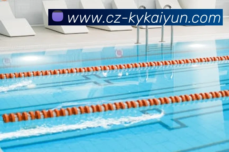 开云体育登入口服务体系